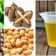 Mengenal Potensi Minyak Sacha inchi dalam Regulasi Metabolisme Trigliserida di Hati